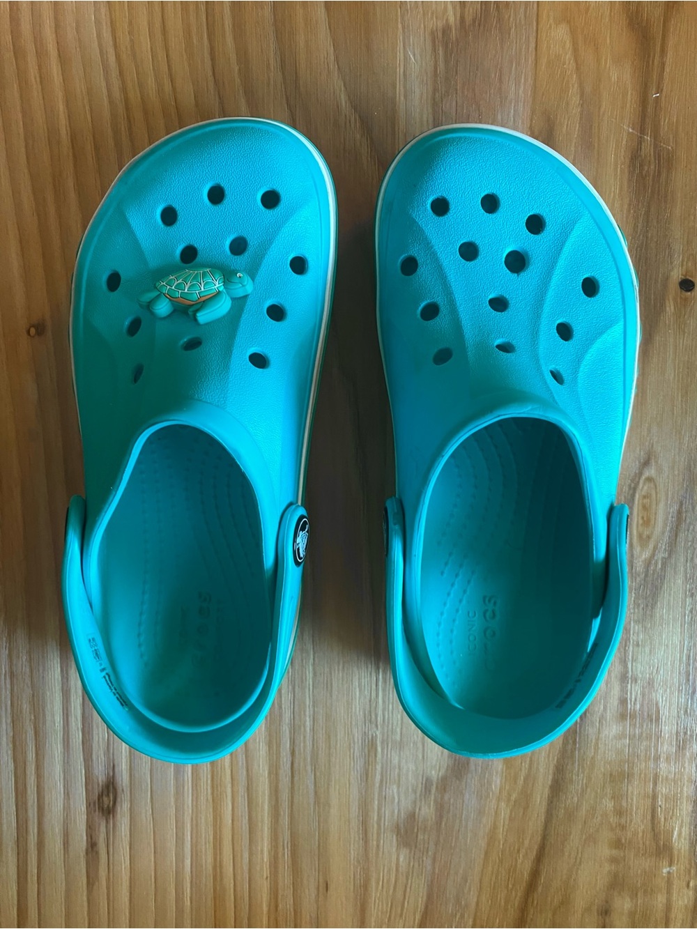 CROCS Kids Classic Clog in Aqua/Turquoise with Turtle Charm